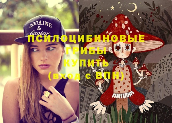 кокс Баксан